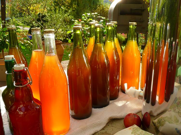 Jus de pomme bio maison