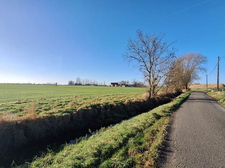 Au fil de la promenade