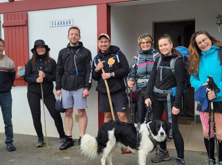 CHIEN COMPOSTELLE OSTABAT HOTEL-news