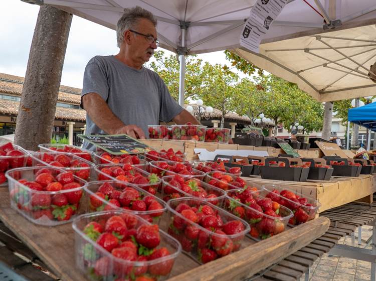 Les belles fraises de saison au marché de Tonneins