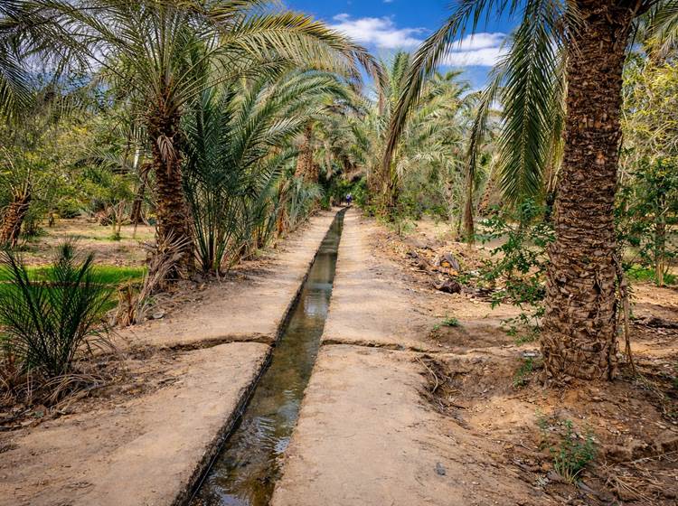 Canal d'irrigation des jardins de la palmeraie