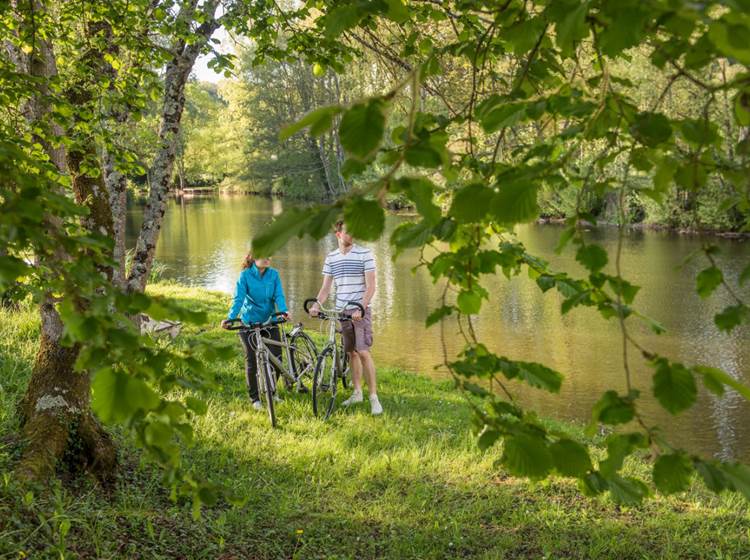 Indre et Loire à vélo vive l'automne