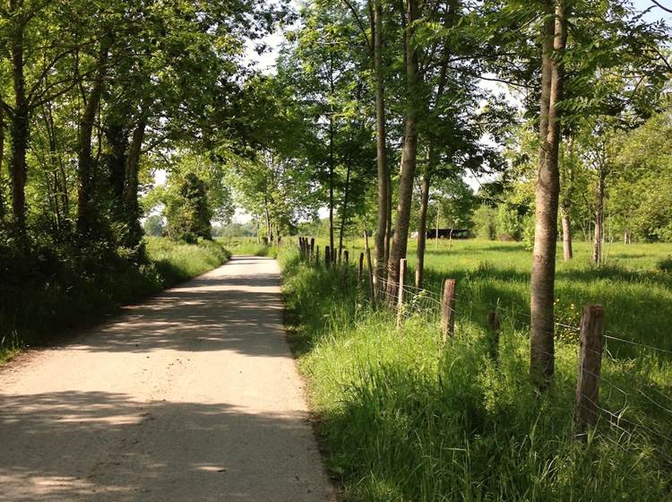 Velo route 81 vers Nay-page