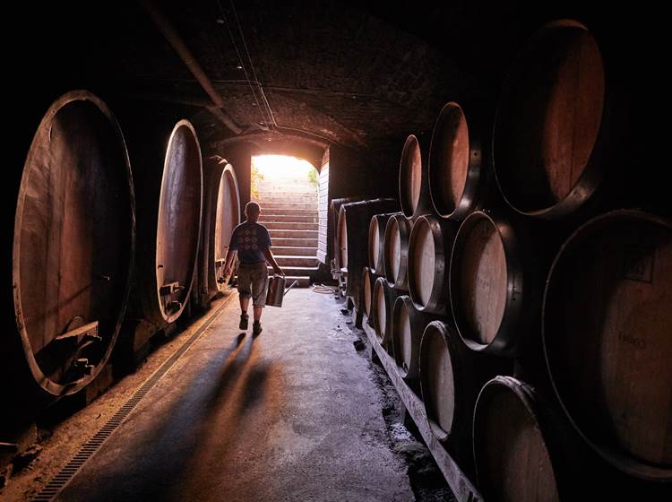 Les caves historiques de vieillissement