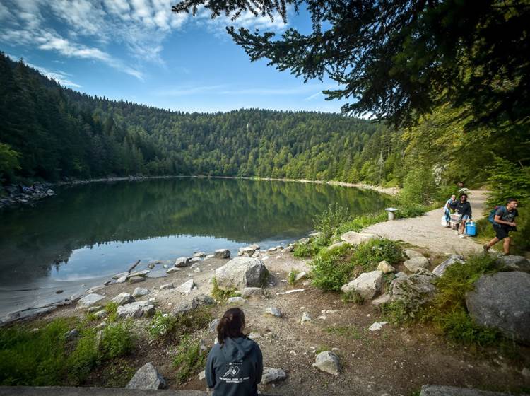 Lac des Corbeaux, La Bresse, Vosges