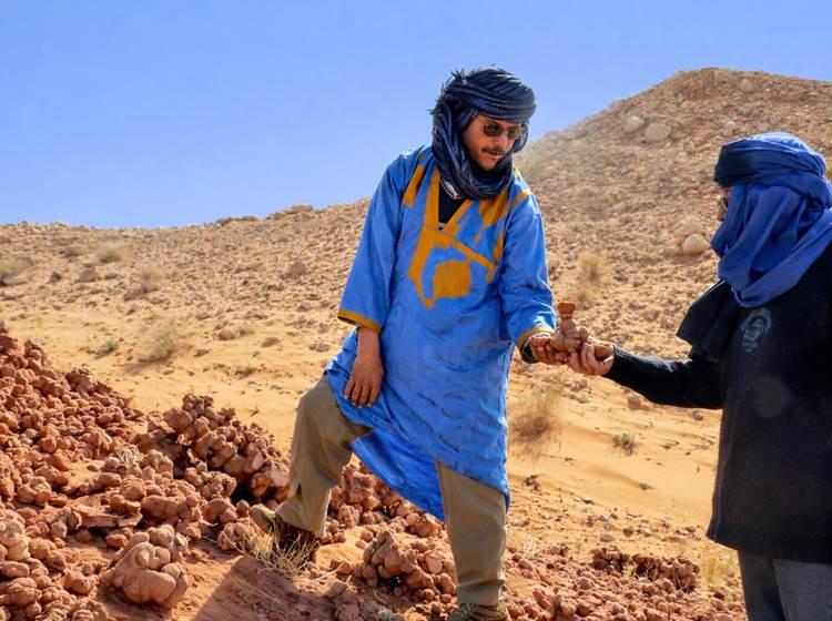La colline aux roses des sables
