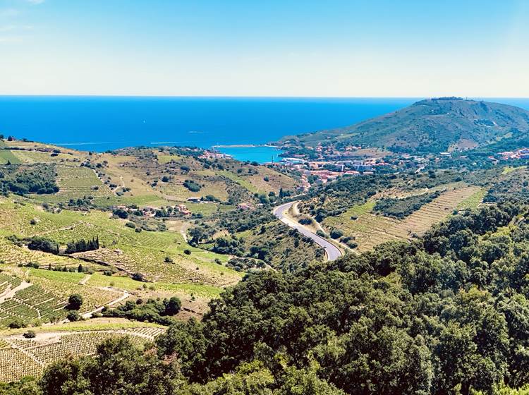 Vue sur Collioure