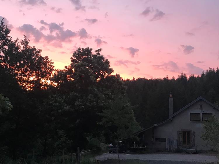 Au frais dans la maison - Dans la foret le matin a la fraiche