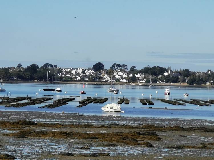 ile aux moines parc à huitres morbihan bretagne maison d'hôtes bien être séjour repos ressourcement détente anti stress cure ayurvédique spa