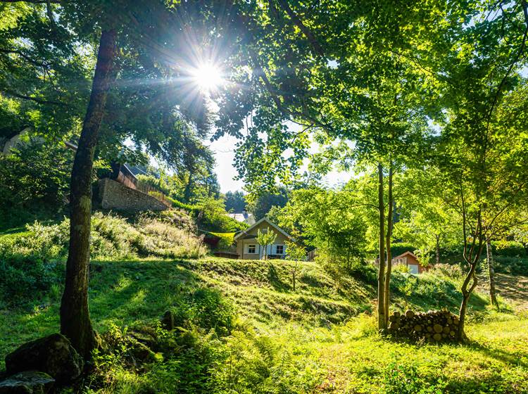 1 escapade ressourçante dans la nature