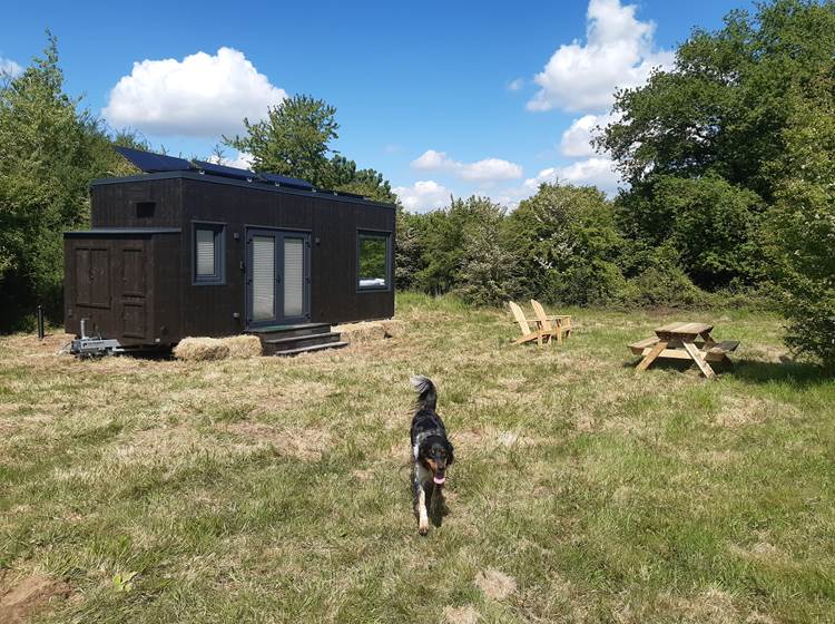 Tiny house Lama Emoi, dormir à la ferme de répit