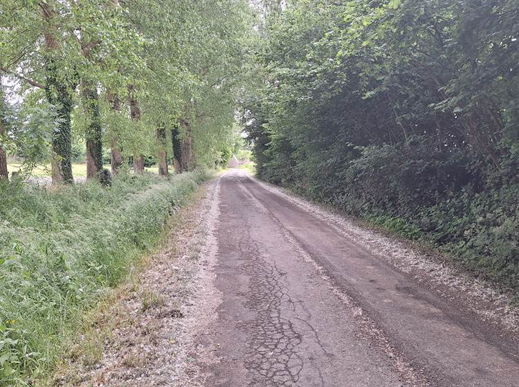 Au fil de la promenade