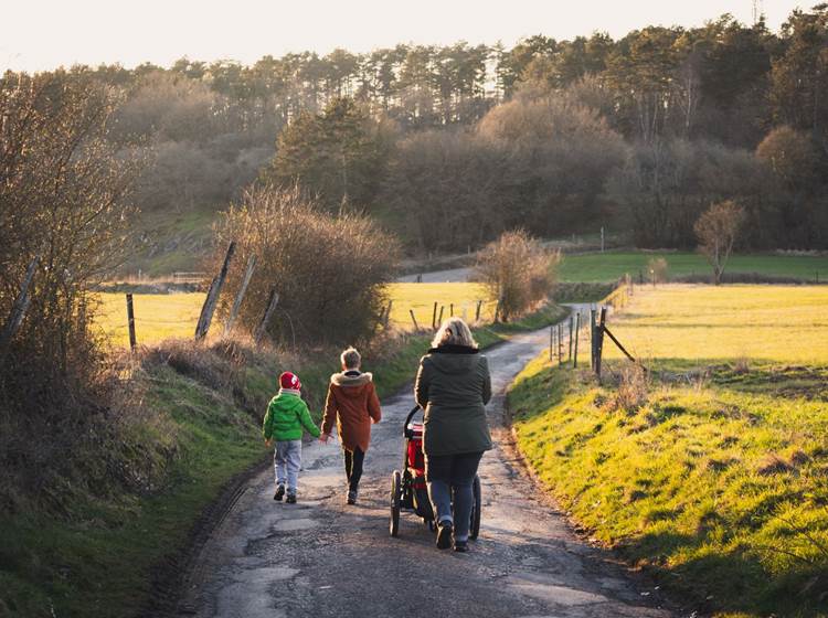 Promenade dans la nature