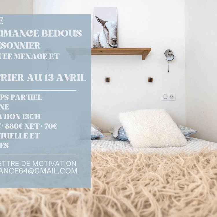 OFFRE D EMPLOI MENAGE HIVER