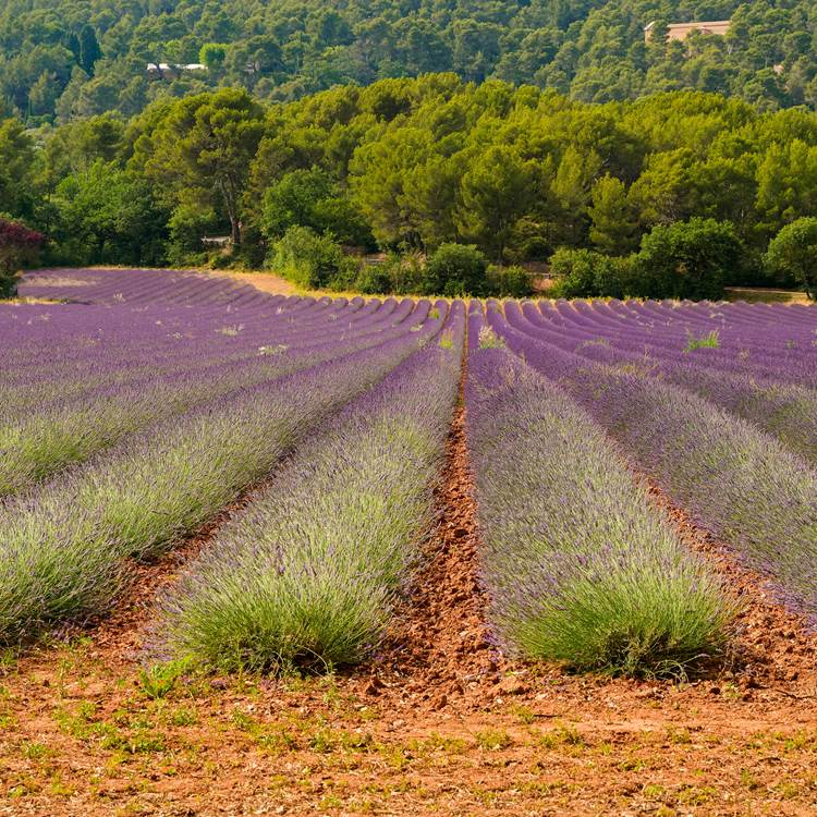 _DSC7323_DxO copie