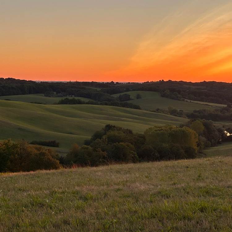 sérénité-paysage-photo-news