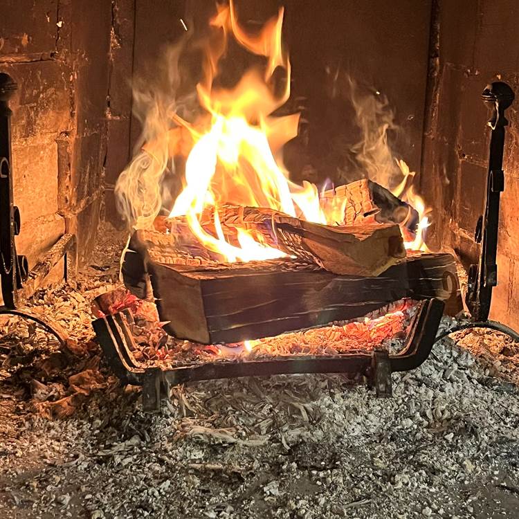 Sans titre-photo-page