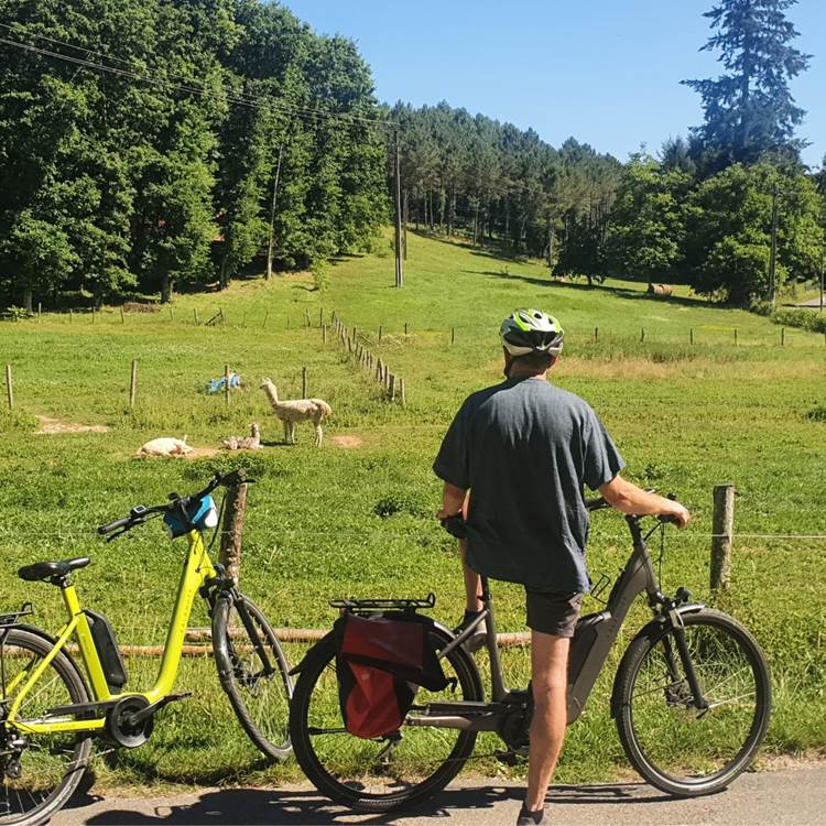 Station Bee's Monpazier-Villeréal_location vélos électriques_balades et séminaires (26)