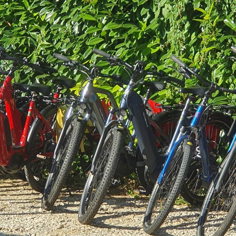 Station Bee's Monpazier-Villeréal_location vélos électriques_balades_Groupes et séminaires