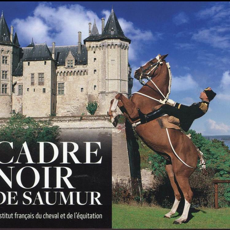 Le Cadre Noir de Saumur-photo-news