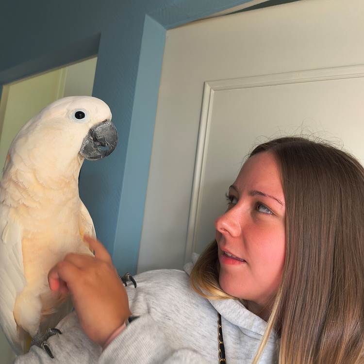 interaction perroquet maison d’hôtes La Flèche expérience ludique-photo-page