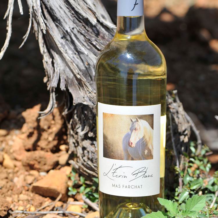 L'Écrin Blanc du Mas Farchat-photo-page