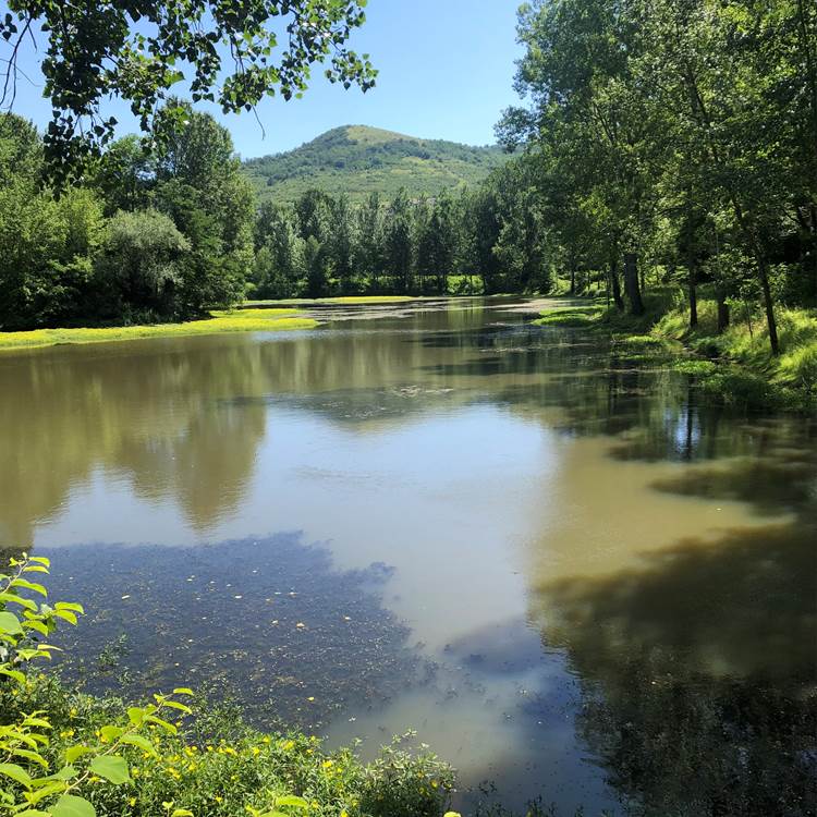 Bords de l'Allier-photo-news