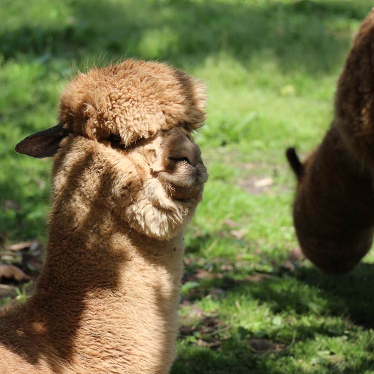 Sans titre-photo-page