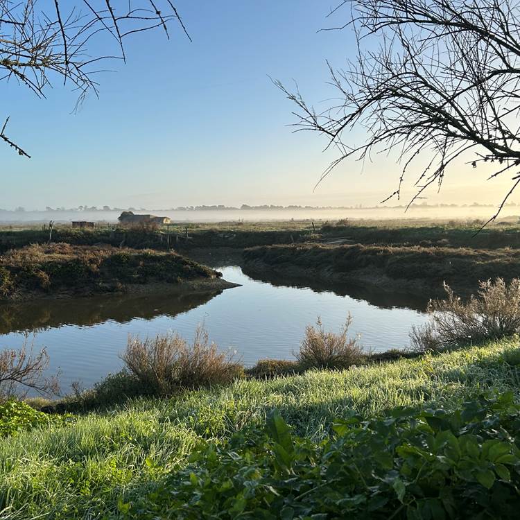 Balade dans les marais salants au départ de Maison Ginette-photo-page