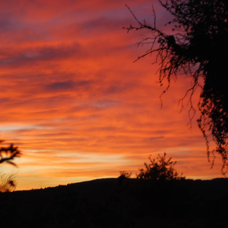 couché de soleil vu de la Salle de Restaurant au Ranch des Lacs 87120-photo-page