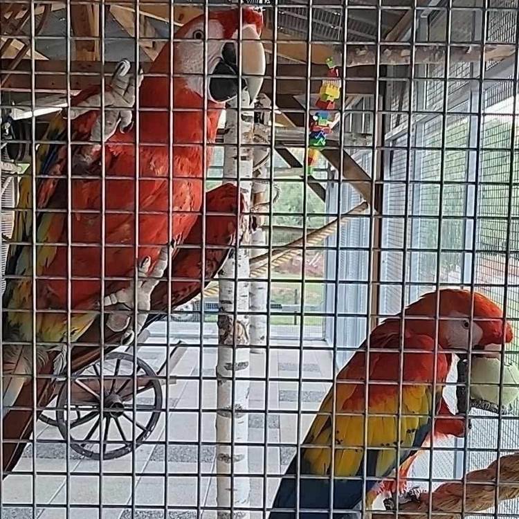 maison d’hôtes originale Sarthe-photo-page