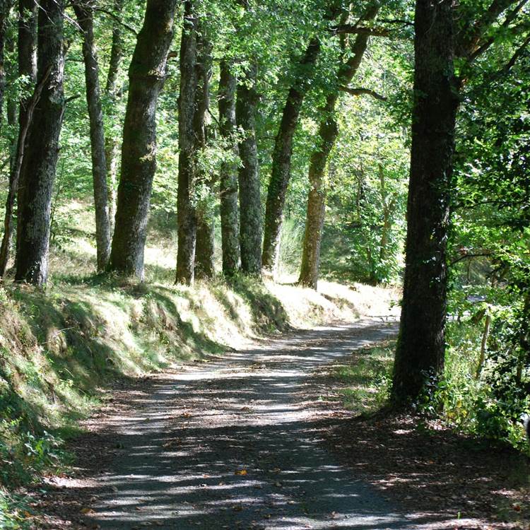 partons en balade sur le chemin des Fantaisies au ranch des Lacs-photo-page
