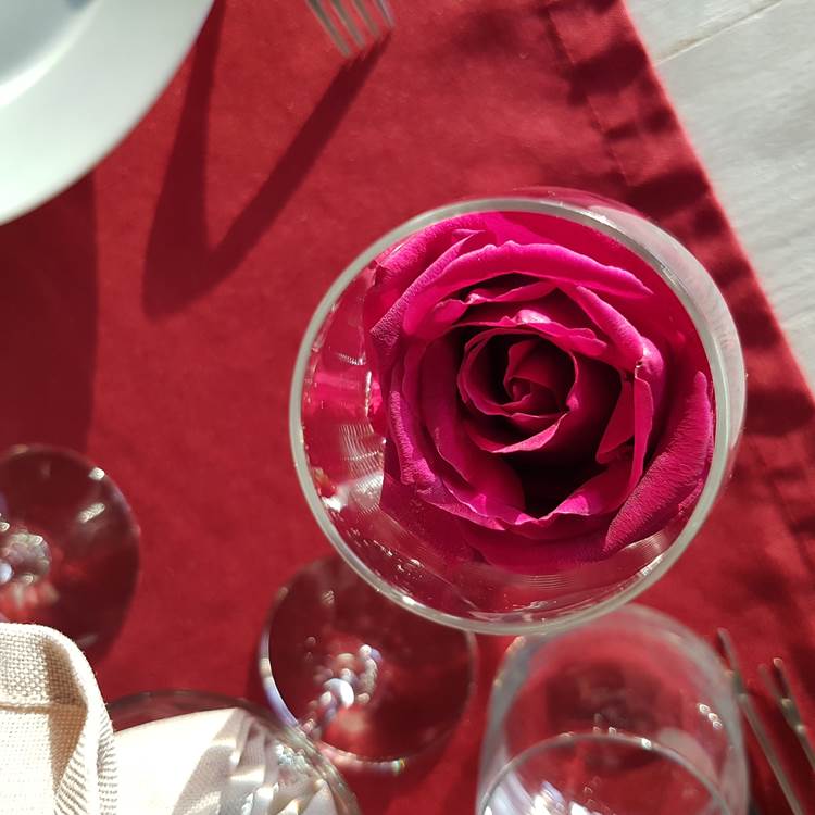 Une rose pour Maman-photo-page