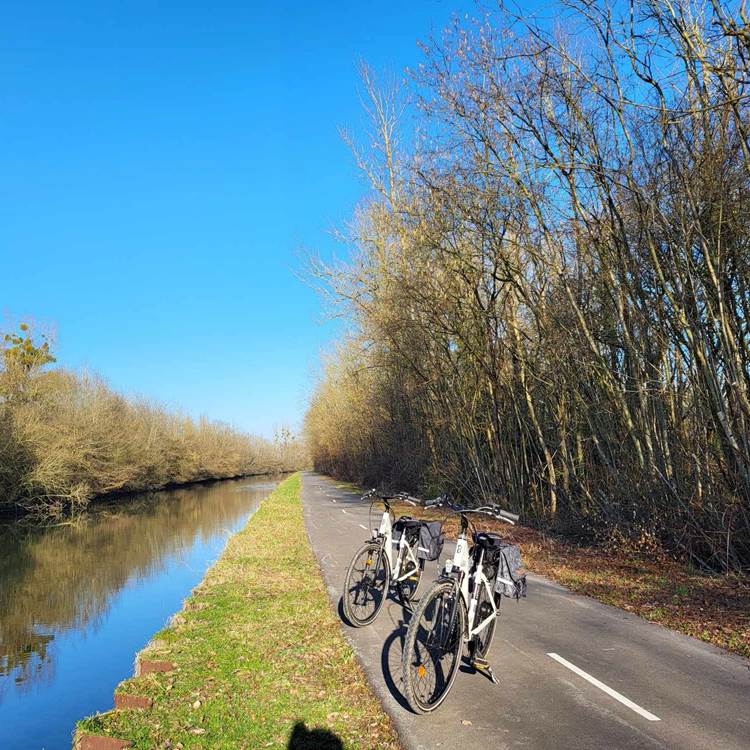 Sans titre-photo-news