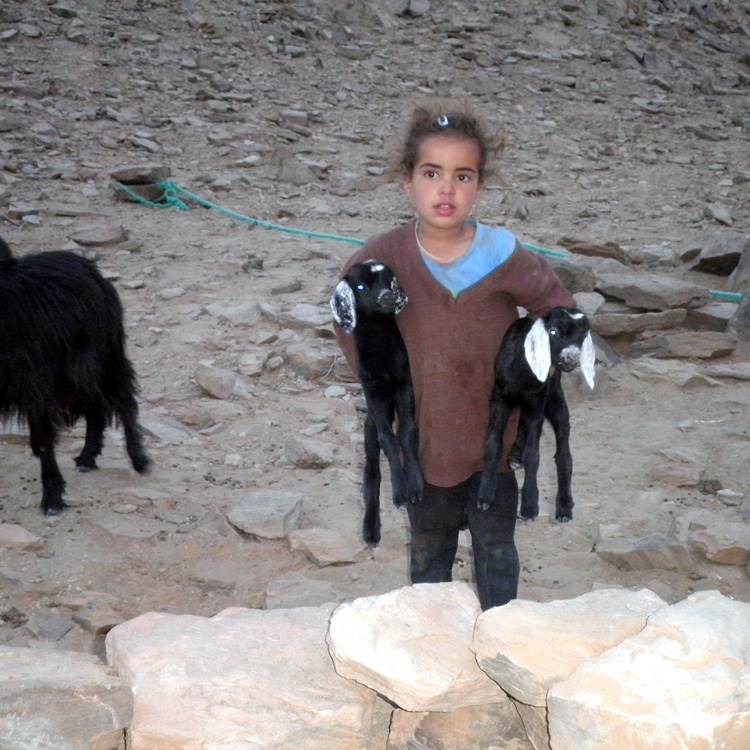Petite fille nomade rassemblant ses chevreaux-photo-page