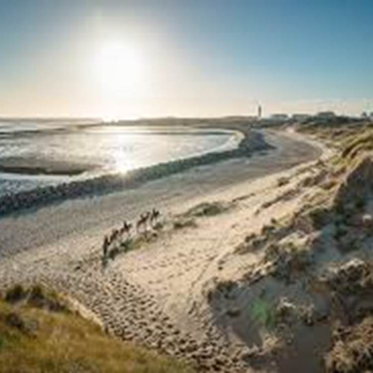 Baie des phoques - Location de vélos Berck -