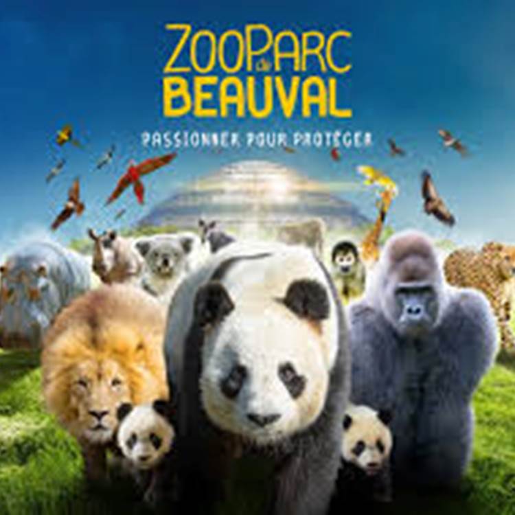 Sans titre-photo-news