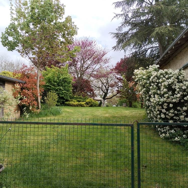 Le jardin au printemps-photo-page