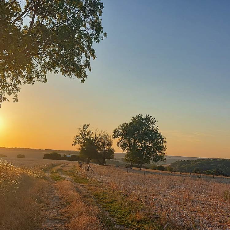 Parc du Vexin Français-photo-page