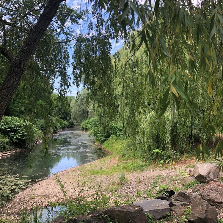 Les bords de l'Allier-photo-news