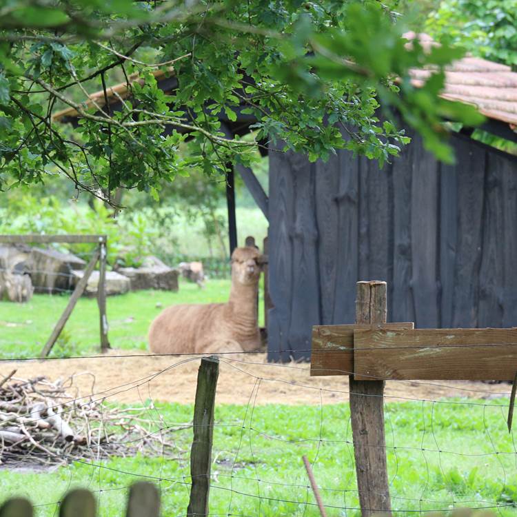 Sans titre-photo-page