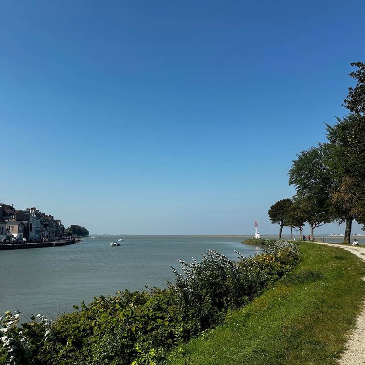 © Au Presbytère de Saigneville-photo-news