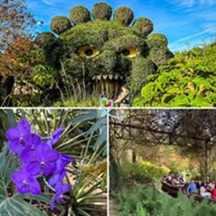 PARC NATURE ANGERS-photo-page