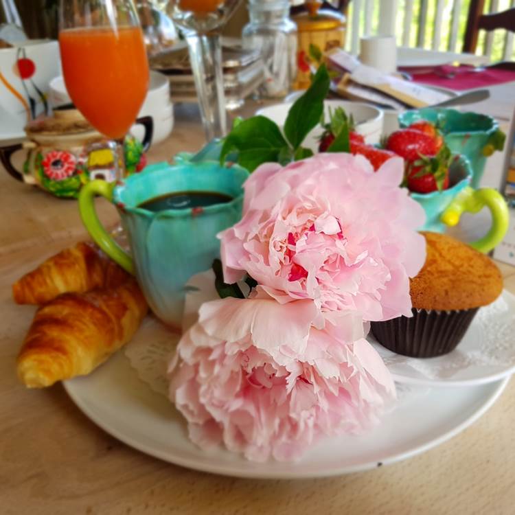 printemps-petit déjeuner gourmand/brunch au Ranch des Lacs Hôtel 87120-photo-page