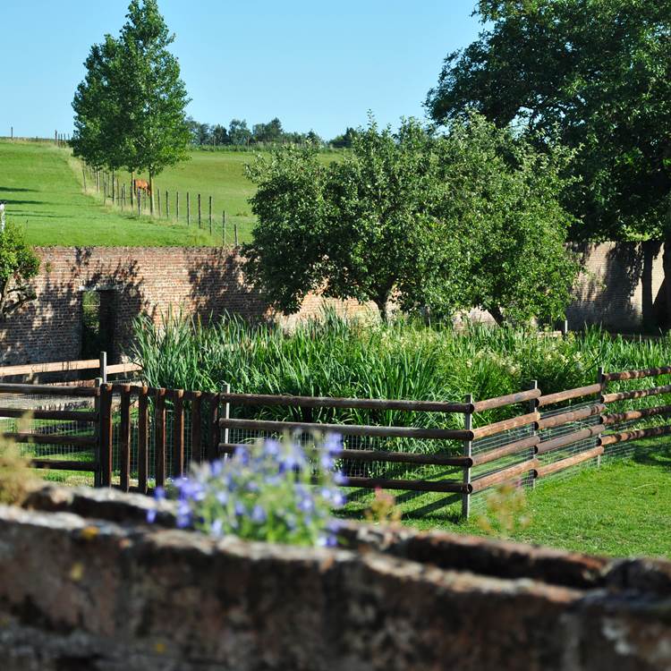 ®GitesLaFermeduParc_lagunage-photo-news