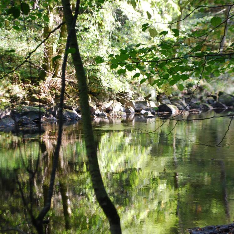 la Vienne à La Lérisse  20' à pied du Ranch des Lacs Hébergement Parc Naturel régional de Millevaches-photo-page