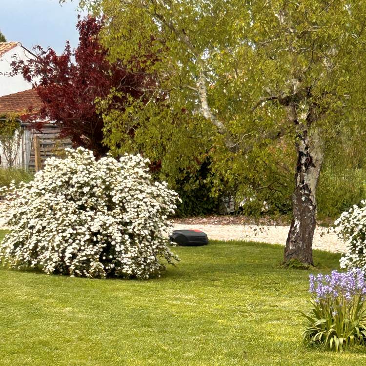 Vue du jardin de Maison Ginette-photo-page