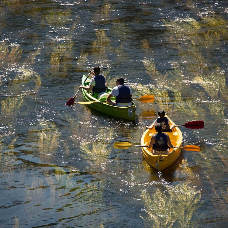 90 - riviere-dordogne_secteur-argentat©MalikaTurin-00016-photo-page