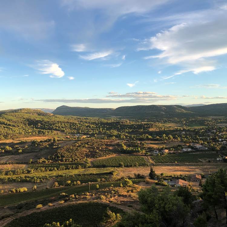 Sans titre-photo-news