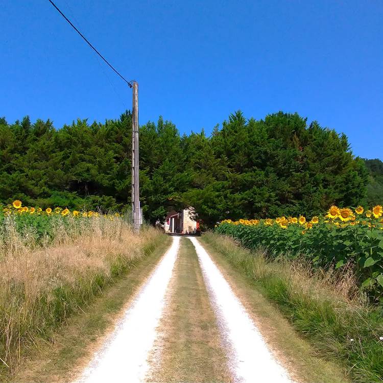 Sans titre-photo-page